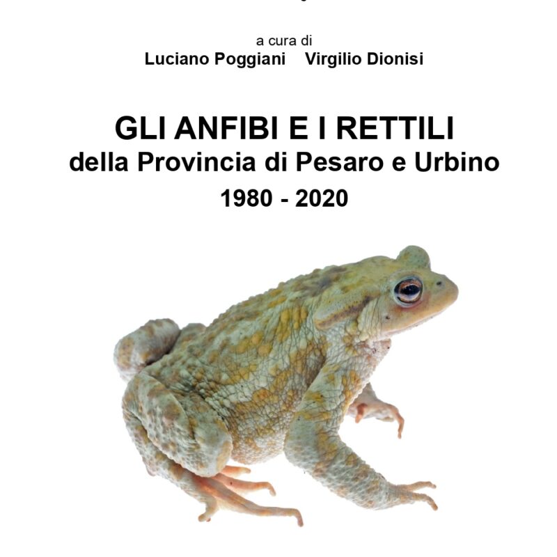 Gli anfibi e i rettili della provincia di Pesaro Urbino 1980-2020