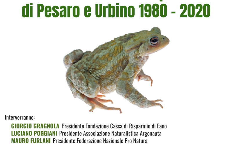 Gli anfibi i rettili della provincia di Pesaro e Urbino 1980 -2020